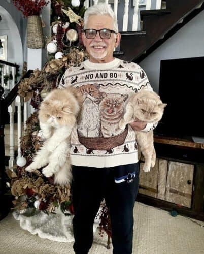 ugly christmas sweater cats