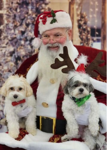 Christmas Dog Roundup Dogs on Santa's Lap