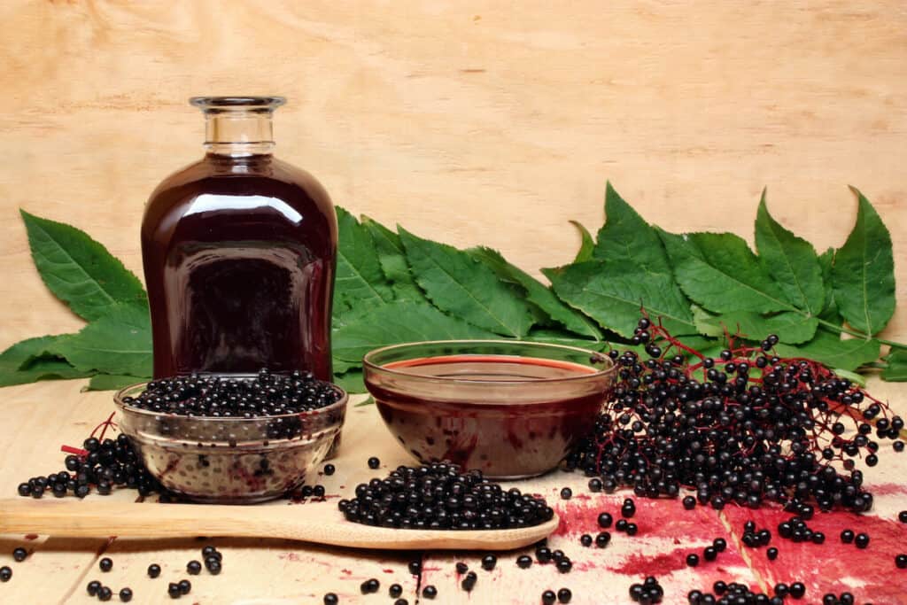 Elderberry syrup health benefits