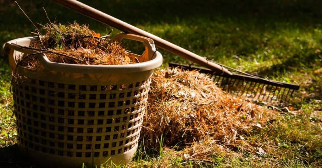 tips to winterize your garden