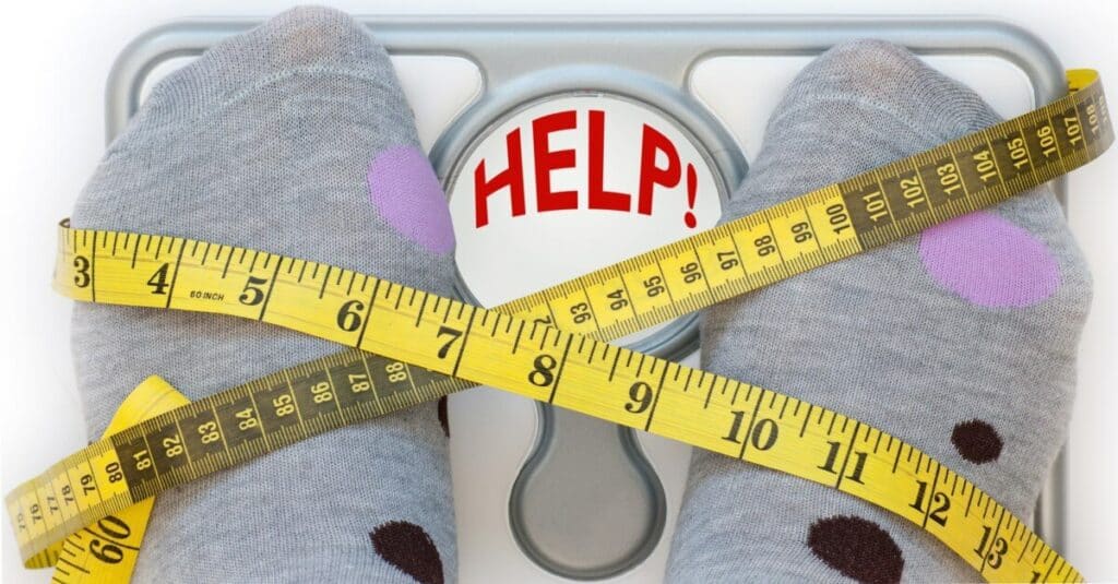 Winter Weight Gain - Stay Slim in Winter