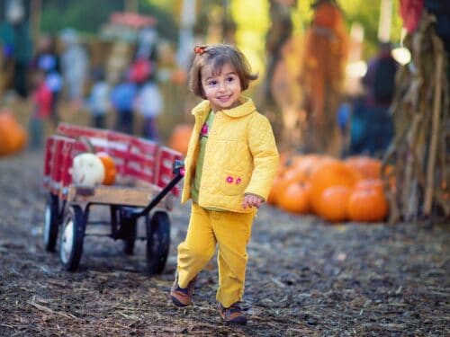 Girl likes pumpkin patch