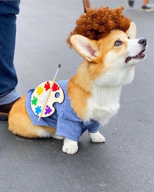 bob ross dog group costume
