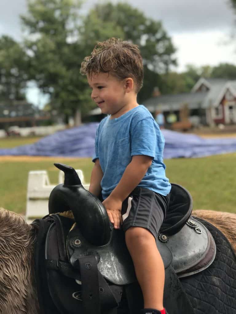 pony rides at the hunt club fall festival