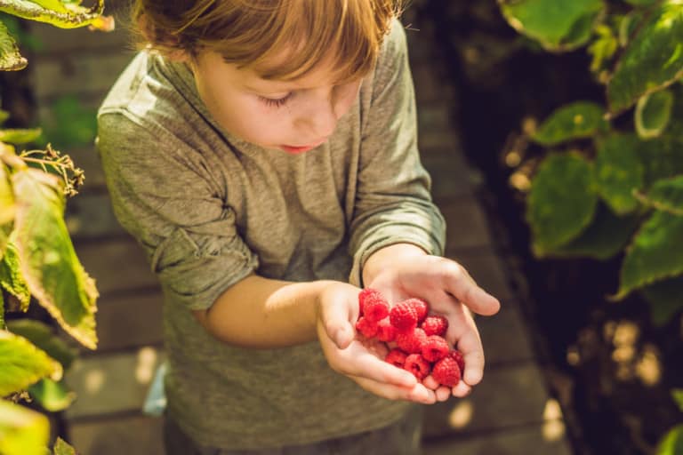 Brain Food: 7 Foods to Boost Kids’ Brain Power