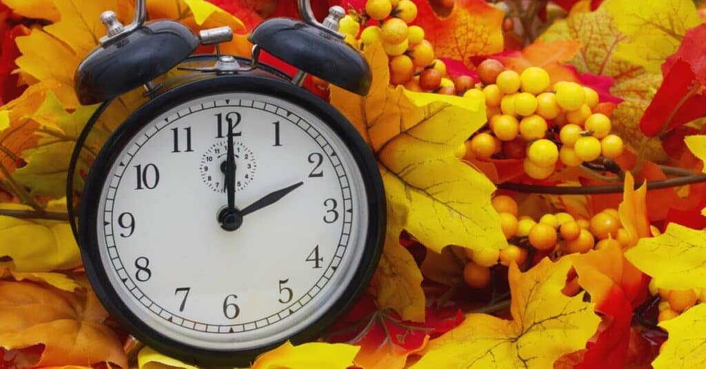 What is Daylight Savings Time?