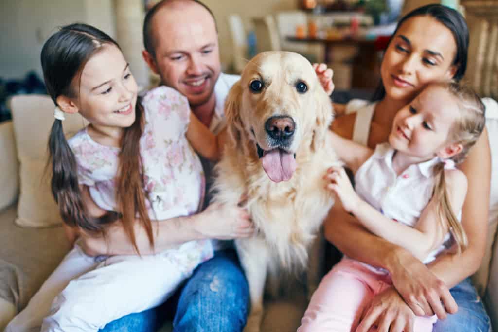 family dog movies