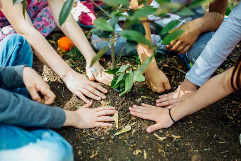 earth day activities