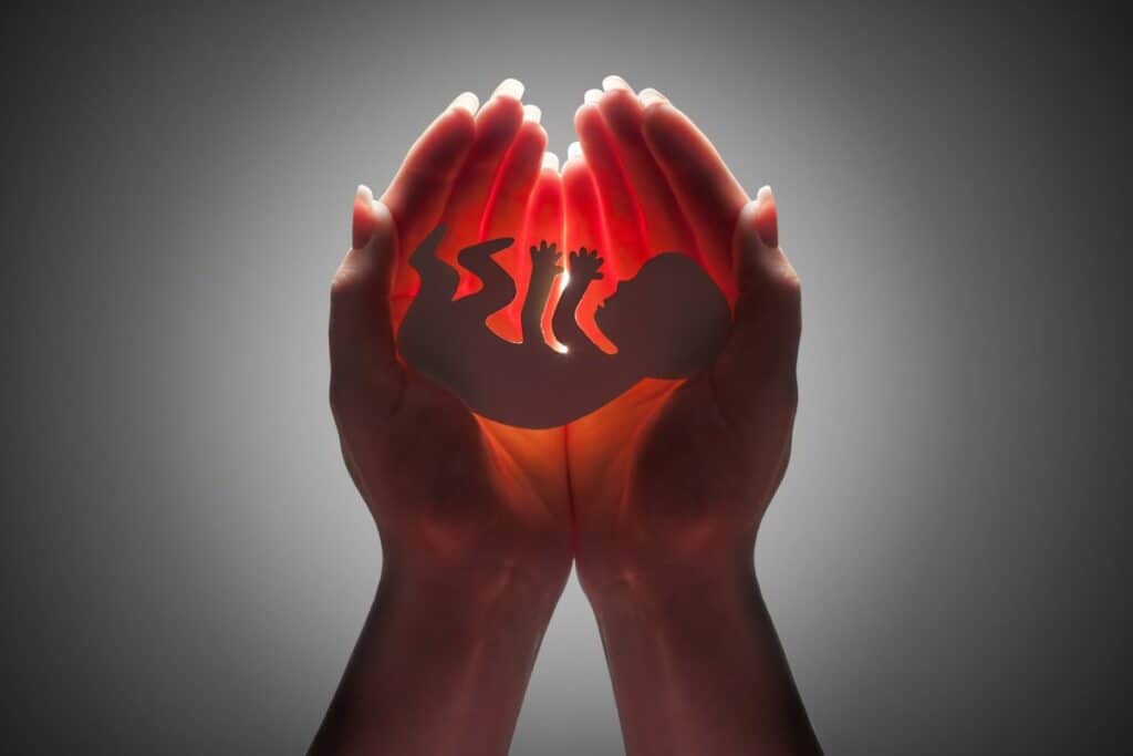 Ins and Outs of Embryo Donation