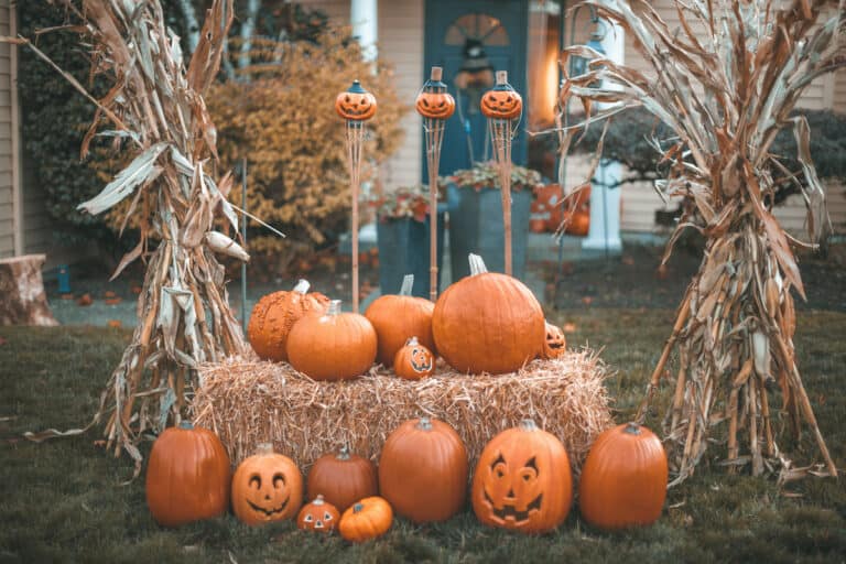 Outdoor Halloween Decorations and Yard Décor