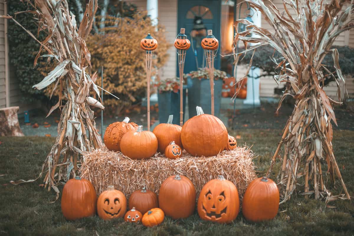 Discount halloween shop yard decorations