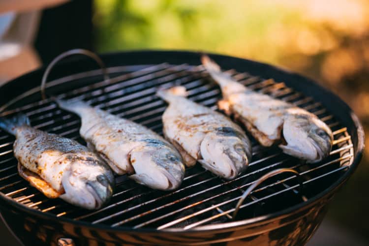 grilled fish recipes 