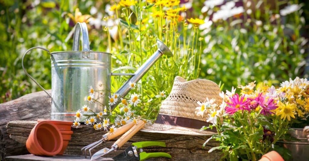 Flower Garden Tips for Beginners