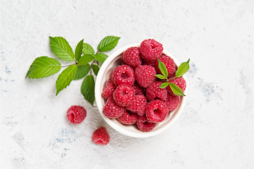 Raspberries in a Bowl
