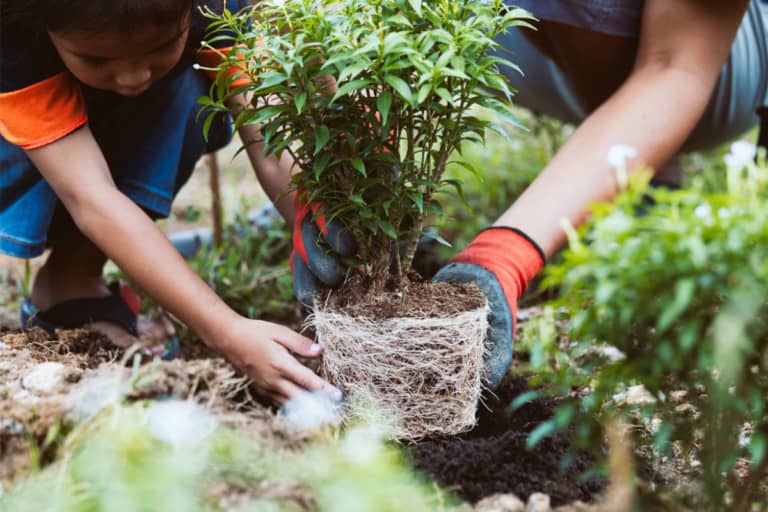 Helpful Tips to Enjoy Gardening With Kids