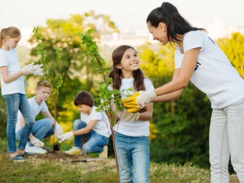 Tipps für Einsteiger in die Gartenarbeit