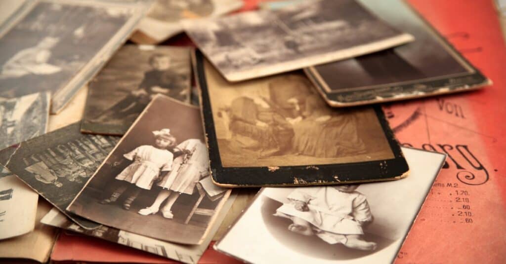 Learn about your roots with family history
