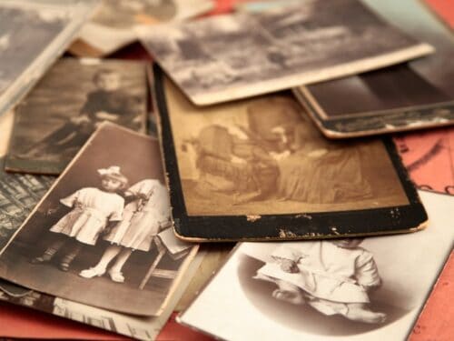 Learn about your roots with family history