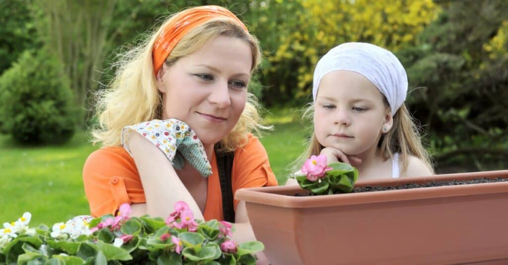 Container Gardening Indoors and Outdoors