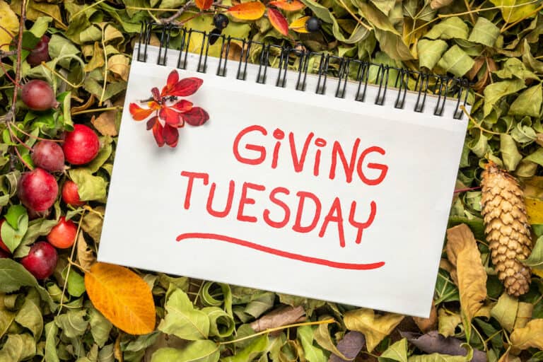 Giving Tuesday: Ways to Get the Whole Family Involved
