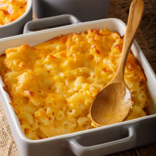 gourmet four-cheese macaroni and cheese