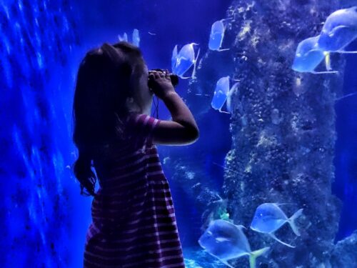children in Virginia Aquarium