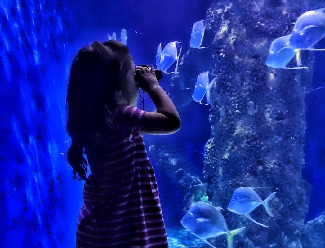 children in Virginia Aquarium