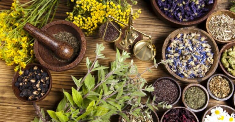 Herbal Remedies From Your Garden to Face Flu Season