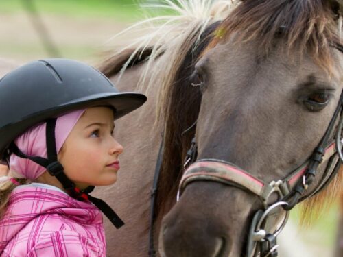 Horseback Riding Lessons Tips