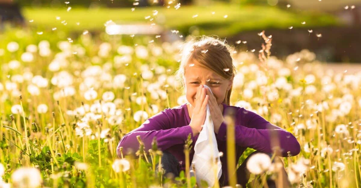 pollen allergy hay fever