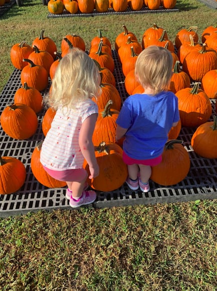 Pumpkin Patch Season: Fun for the Whole Family