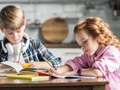 Homeschooling pros and cons
