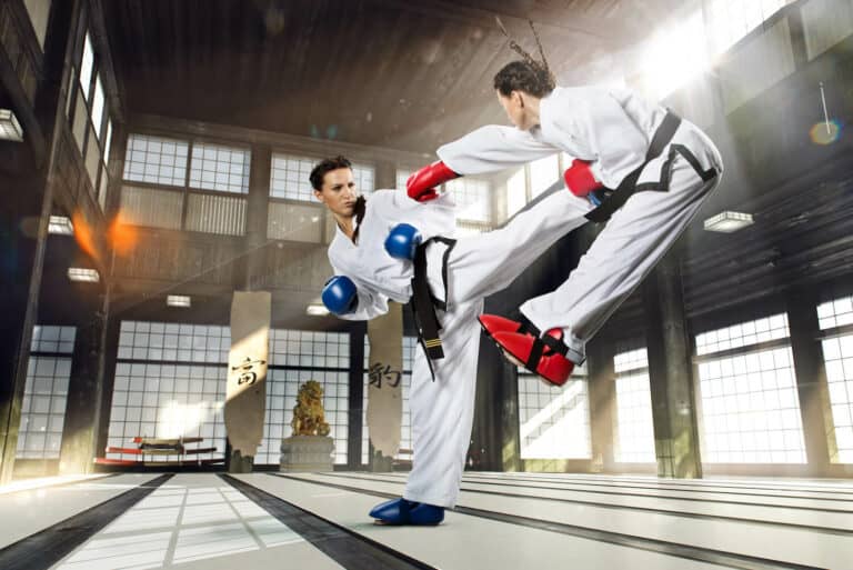 Kick It Out With Karate Combat And Other Martial Arts!