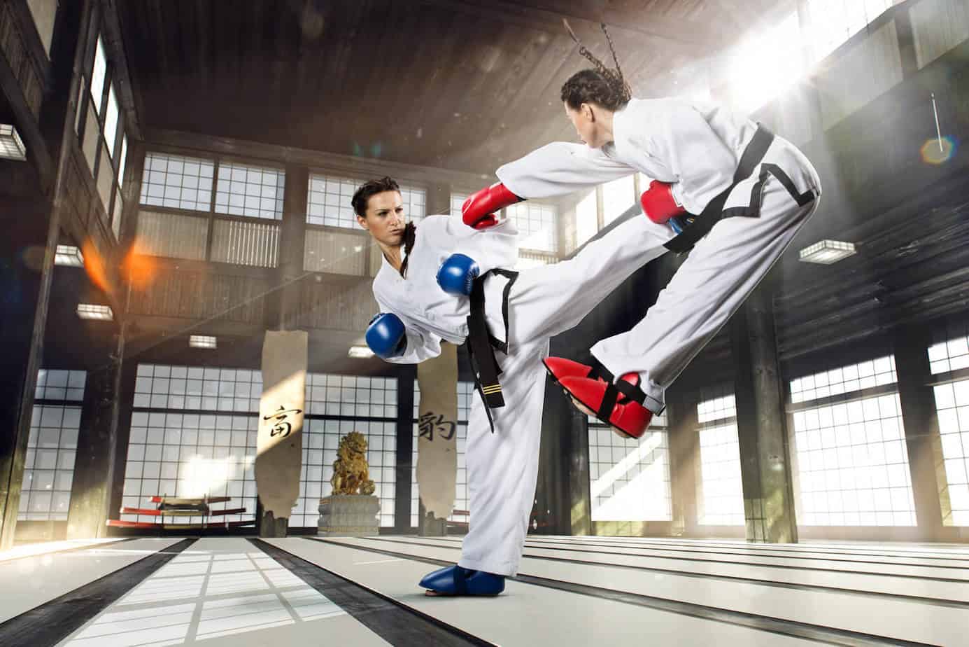 karate combat martial arts