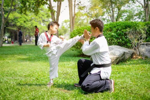karate combat