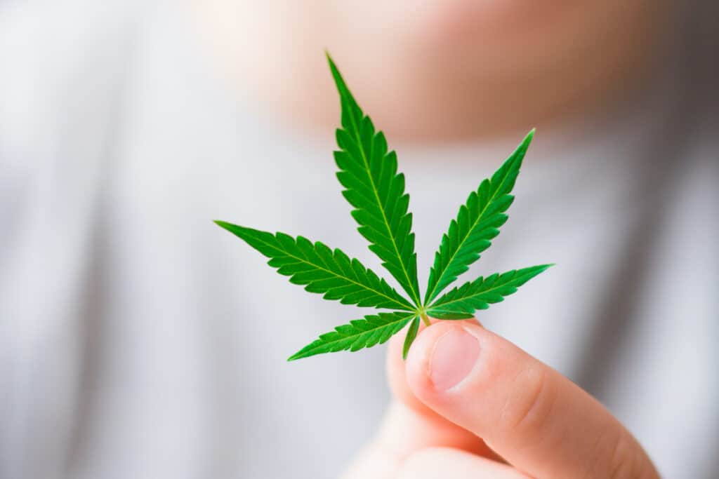 How to talk to kids about cannabis