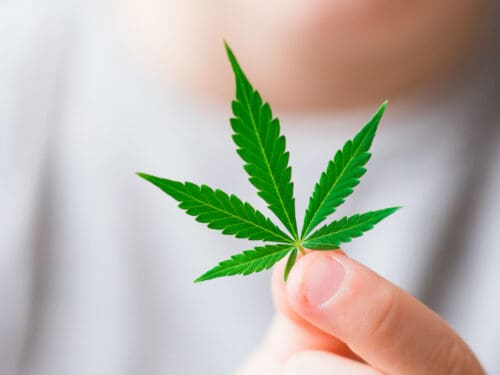 How to talk to kids about cannabis