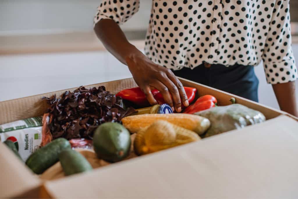 meal kit delivery services