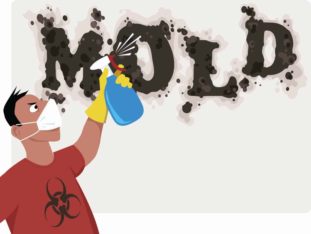 Things I can do against mold