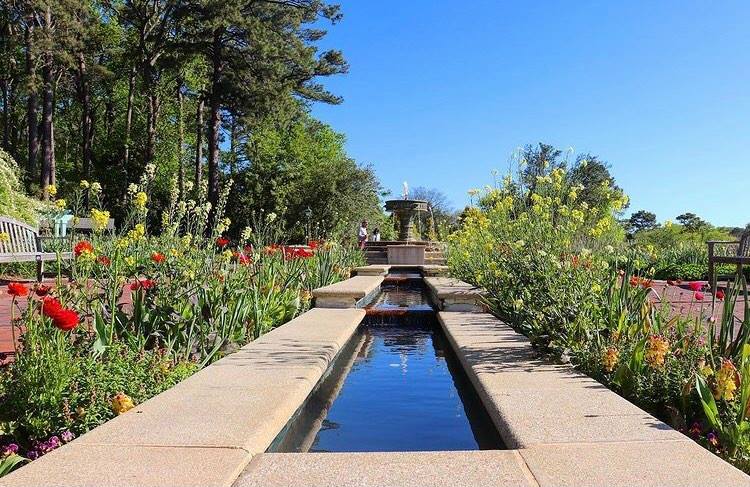 Norfolk Botanical Garden spring and summer blooms @meetsweetvirginia