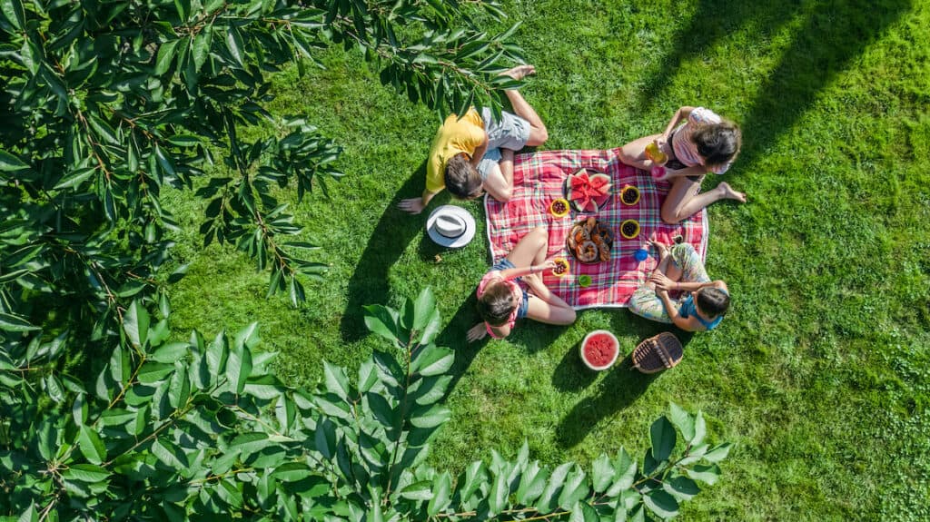 family picnic food