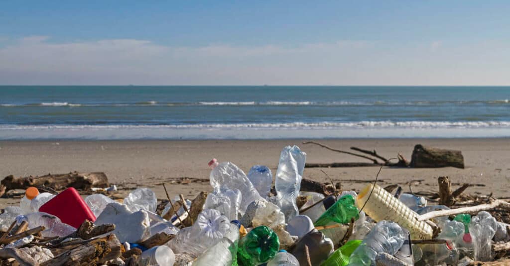 How can I reduce my plastic usage?