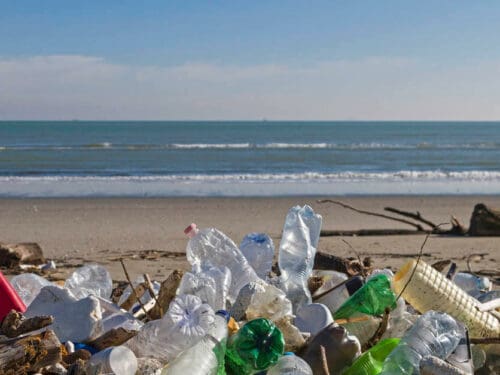 How can I reduce my plastic usage?