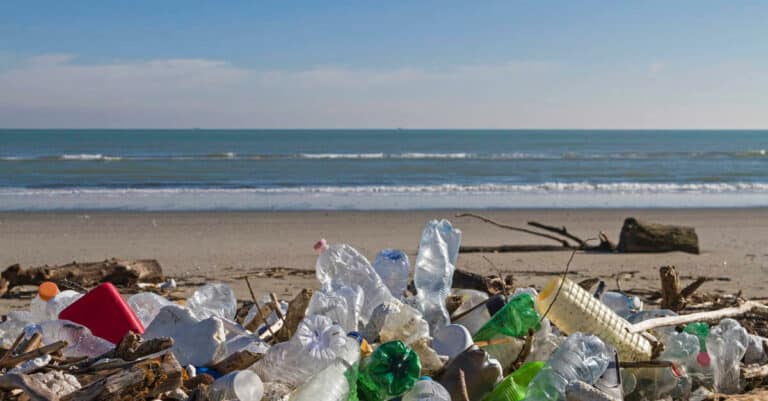 Plastic Is Popular – How We Can Reduce The Plastic Waste