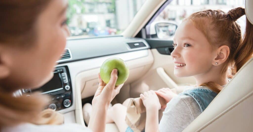 Healthy Snacks for Road Trips