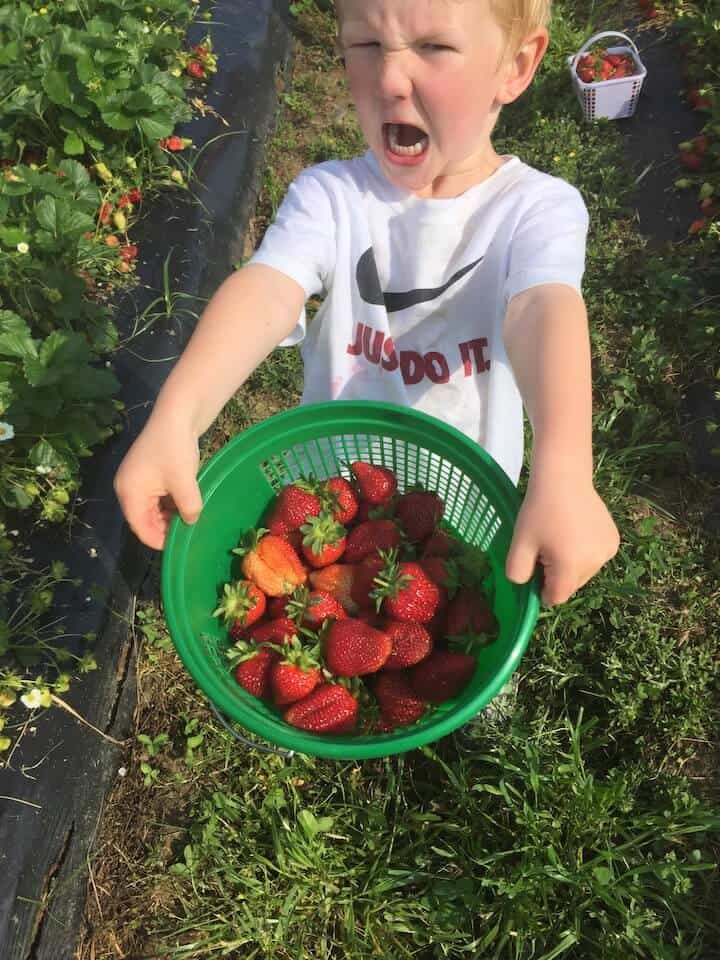 kids during strawberry season