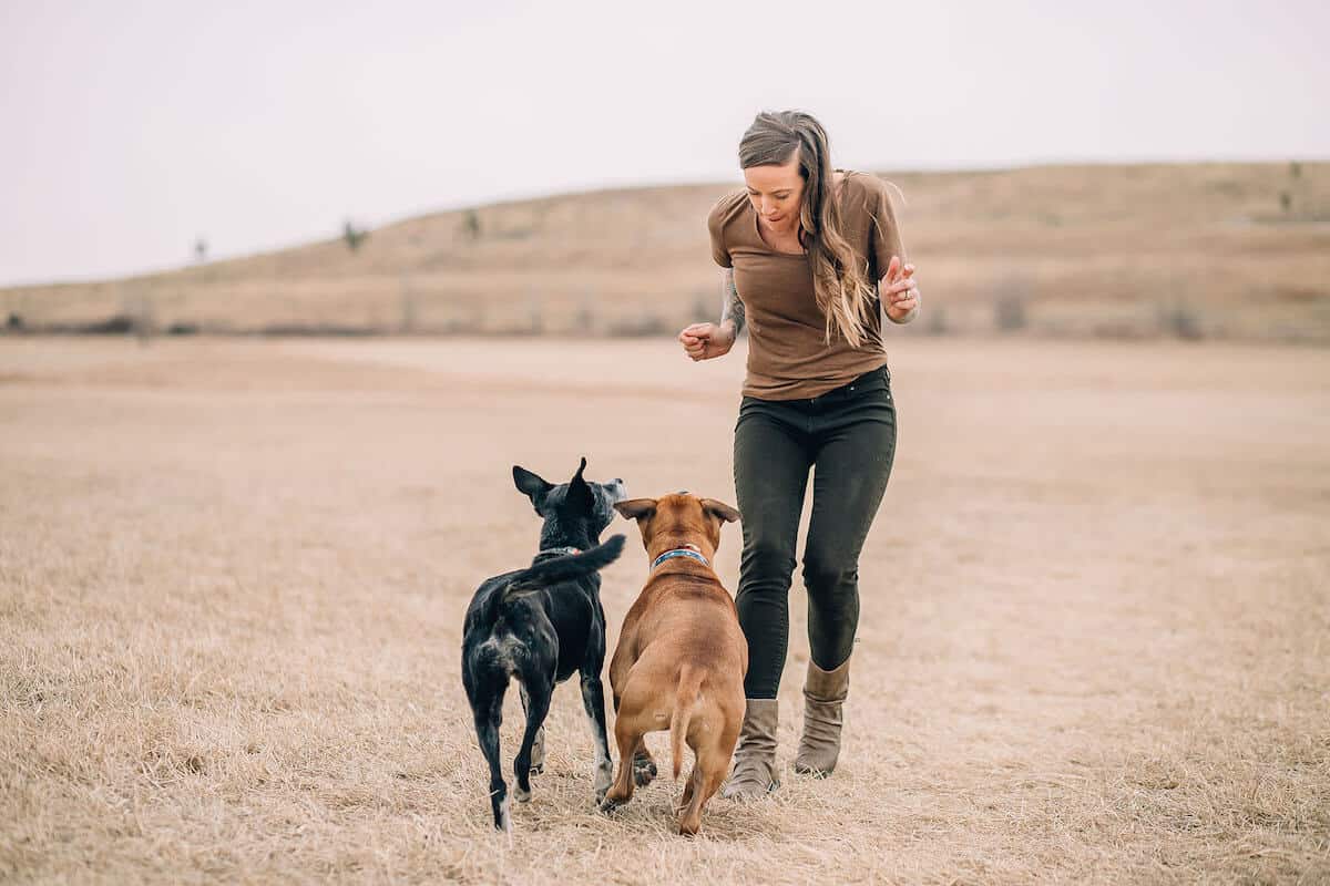 dog training tips from Rachel Laurie Harris, Certified Professional Dog Trainer