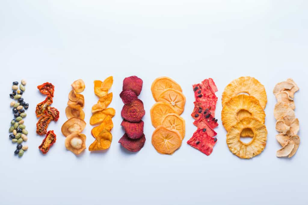 food dehydrator