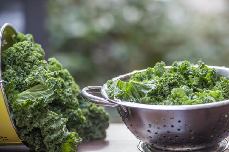 4 Easy and Delicious Kale Recipes for Snacks and Dinner