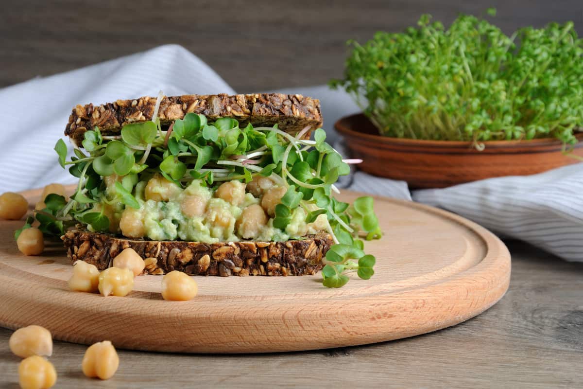 microgreens sandwich